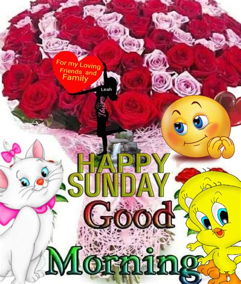 Good Morning Happy Sunday Pictures, Photos, and Images for Facebook, Tumblr, Pinterest, and Twitter