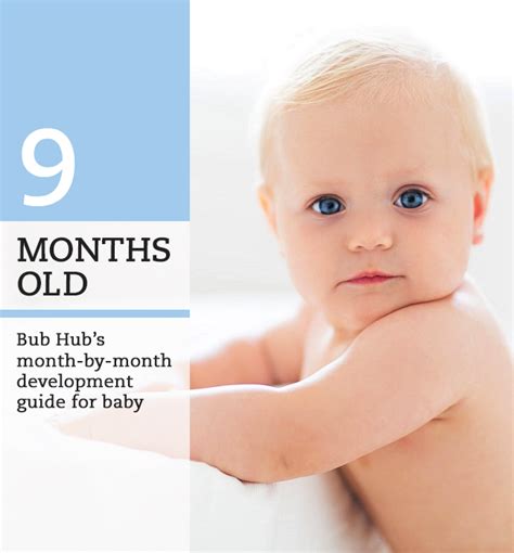 What should my 9 month old baby be doing? 9 - 10 month milestones | Bub Hub