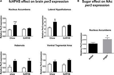 Frontiers | A Free-Choice High-Fat High-Sugar Diet Alters Day–Night Per2 Gene Expression in ...