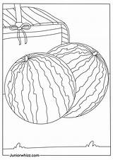Watermelon Coloring Pages For Kids 14 Printable PDFs sketch template