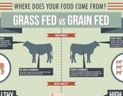 Grass Fed vs. Grain Fed Infographic | Behance :: Behance