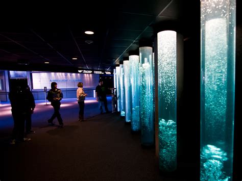 50 photos of National Aquarium in Baltimore | BOOMSbeat