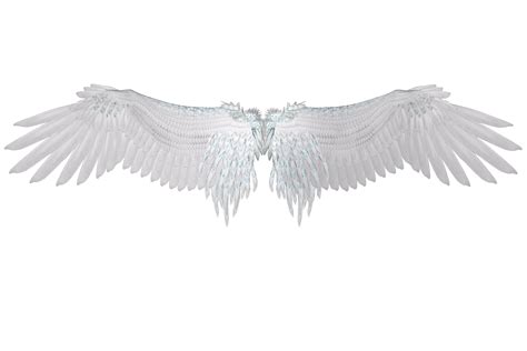 Free Images - wing white feather angel