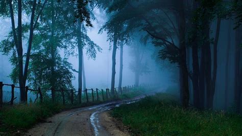 Dark Rainy Forest Wallpapers - Top Free Dark Rainy Forest Backgrounds - WallpaperAccess