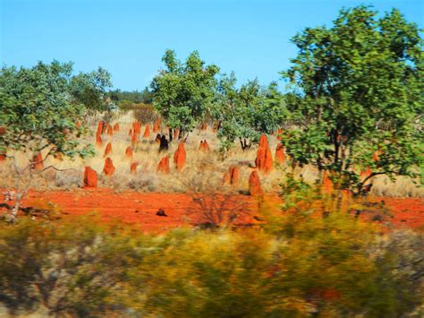 Brisbane to Mt Isa Road Trip: Encounter the Most Scenic View
