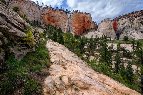 West Rim Trail (Bottom-Up Day Hike) Photos (Page 3) - Joe's Guide to Zion National Park