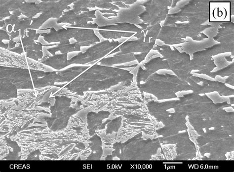 SEM micrograph (nital etch) of (a) 0V and (b) 200V after tempering 30... | Download Scientific ...