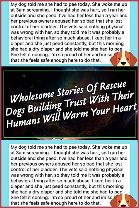 Wholesome stories of rescue dogs building trust with their humans will ...