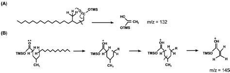 Formation of the McLafferty rearrangement ion (A) and a distonic ion ...