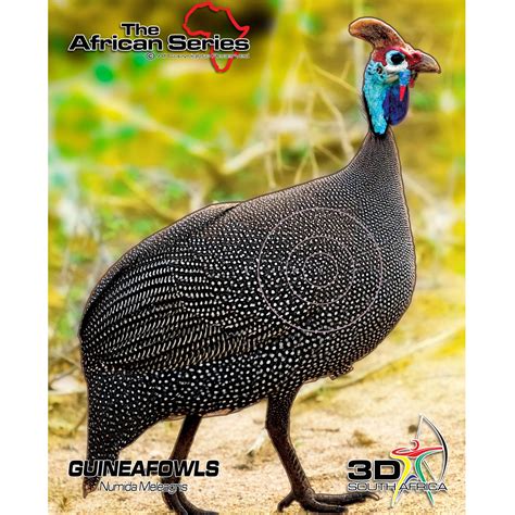 Target African Series Guinea Fowl – Archer's Edge