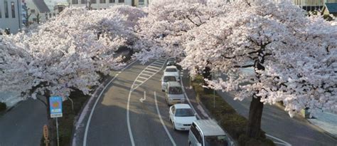 Ibaraki Prefecture - Japan Travel - Tourism Guide and Travel Map