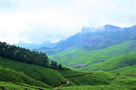 Trip to Kolukkumalai - The Highest Tea Estate in the World - Backpack & Explore