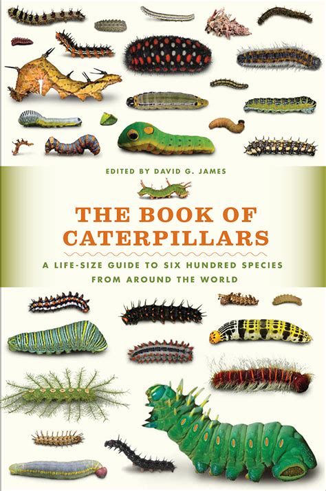 The Book of Caterpillars: A Life-Size Guide to Six Hundred Species from around the World, James