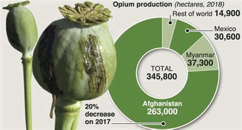 According to the World Drug Report 2019 released by The United Nations ...