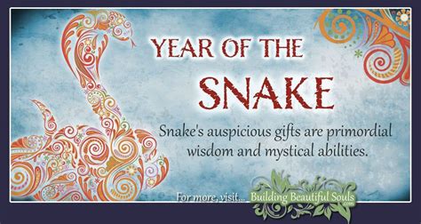 Chinese Zodiac Snake | Year of the Snake | Chinese Zodiac Signs Meanings