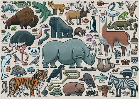 Ravensburger You Wild Animal 1000 Piece Jigsaw Puzzle