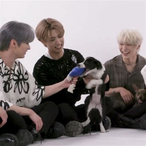 Stray Kids Puppy Interview