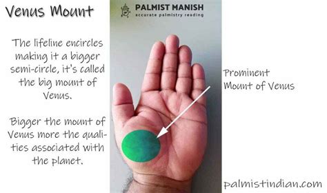 Mount of Venus in palmistry With Illustration | Palmist Manish