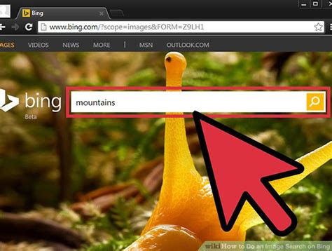 How to Do an Image Search on Bing: 6 Steps (with Pictures)