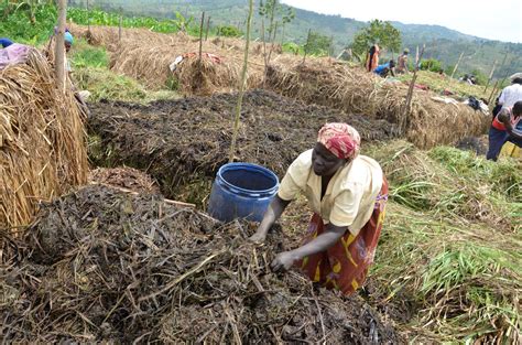 Climate Change: RCCDN Demonstrates How Rwanda Would Bridge Gaps in Agriculture – KT PRESS