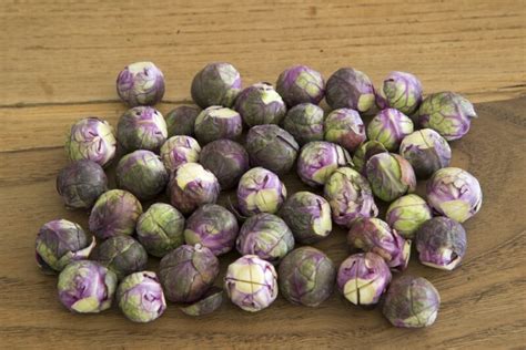 14 Best Brussels Sprout Varieties to Grow at Home (with Pictures ...