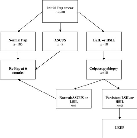 Management of Pap smear results. HSIL 1⁄4 high-grade intraepithelial... | Download Scientific ...