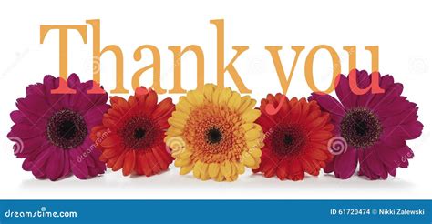 Saying Thank You Flowers Stock Photos - Free & Royalty-Free Stock Photos from Dreamstime