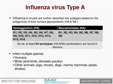 Avian influenza virus and transmission