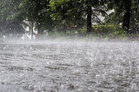 Uttar Pradesh: 47 dead after heavy rainfall, MeT dept warns of downpour for 2 days - The Statesman