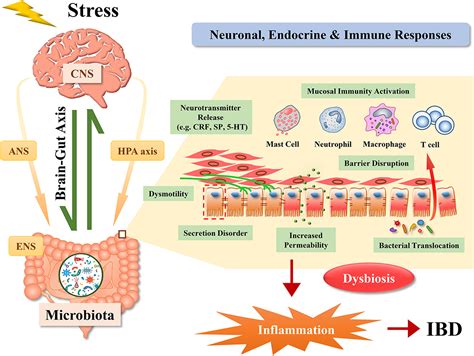 What Are The Methods To Test For Covid 19