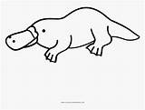 96 Best Ideas For coloring  Platypus Coloring Pages Free sketch template