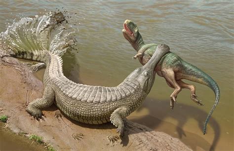 Sarcosuchus, which could bite down with about 80,000 newtons aka 18,000 pounds perforce, grabs ...