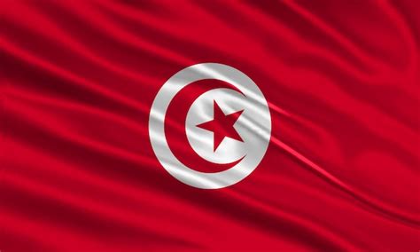 Premium Vector | Tunisia flag design. waving tunisian flag made of ...