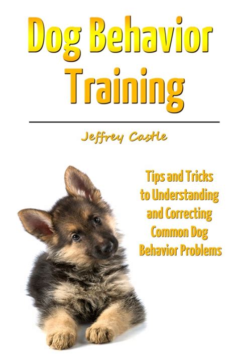 Dog Behavior Training: Tips and Tricks to Understanding and Correcting Common Dog Behavior ...