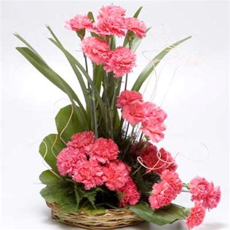 Round Pink Carnations Basket - GiftsCake