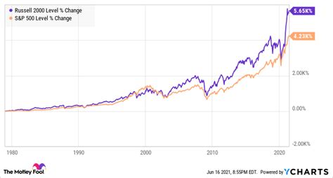 Risk level small medium micro cap stocks - petplora