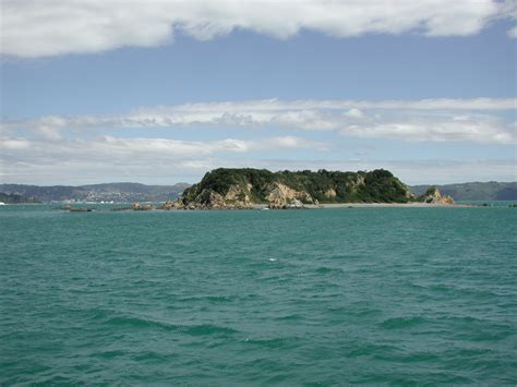 Wellington Harbour | Chip Travel