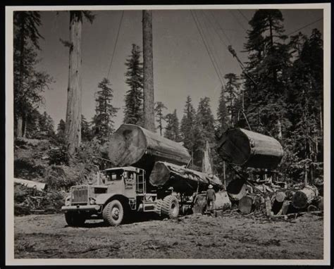 78+ images about Old logging trucks on Pinterest | Gmc trucks, Rigs and Logs