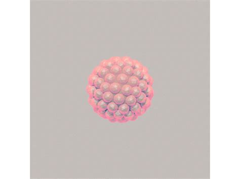 Bubbles [gif] by Timothy J. Reynolds on Dribbble