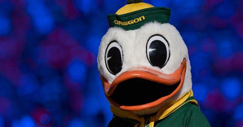 Oregon's duck mascot isn't named 'Puddles,' but that's an excellent ...