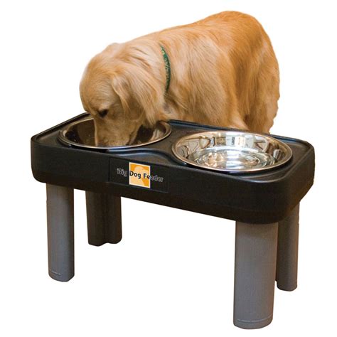 Buy PetZen Big Dog Double Bowl Elevated Feeder, Black,16 in Online at ...