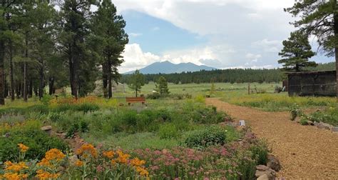 The Arboretum at Flagstaff - Go Wandering