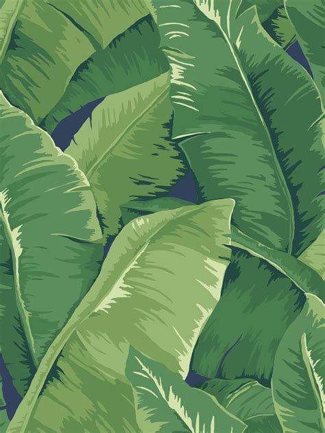🔥 [47+] Tropical Banana Leaf Wallpapers | WallpaperSafari