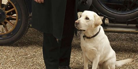 Downton dog about to be killed off because of its 'awkward' name? | indy100 | indy100