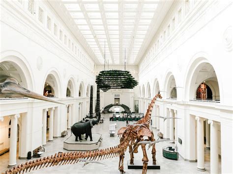 13 Best Chicago Museums You Should Explore In 2022