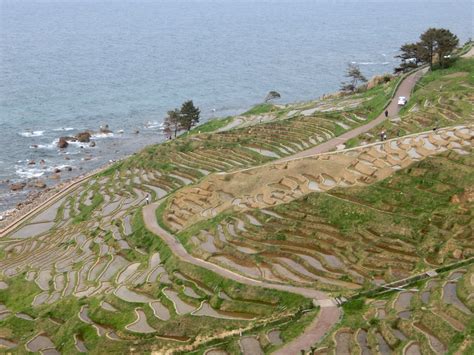 'Senmaida': Scenic rice terraces evoking old Japan - Japan Today