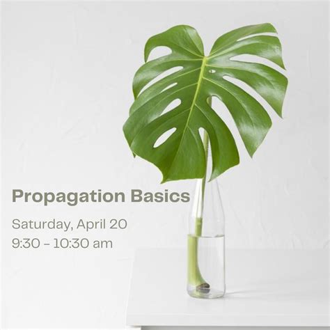 Propagation Basics Workshop | Flora