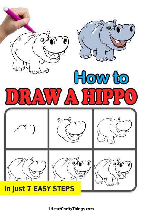 Hippo Drawing - How To Draw A Hippo Step By Step