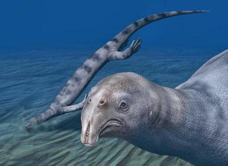 Bizarre New Triassic Marine Reptile Described