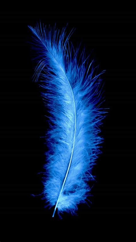 Blue Feather Wallpapers - Top Free Blue Feather Backgrounds - WallpaperAccess